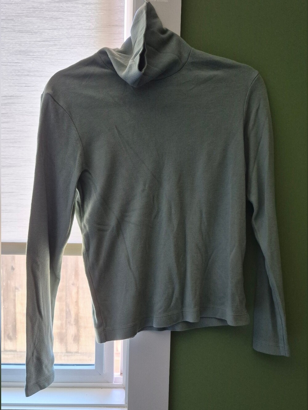 Sage Turtleneck Uniqlo Heattech Long-Sleeve Top